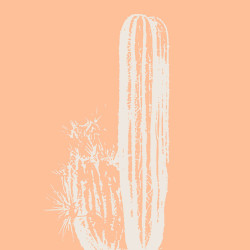 Tableau mural cactus bohême