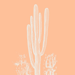Tableau mural cactus nature
