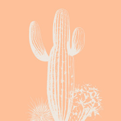 Tableau mural cactus sobre