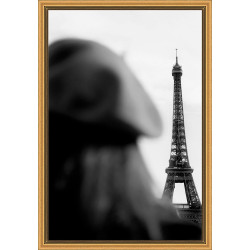 Accessoires offerts