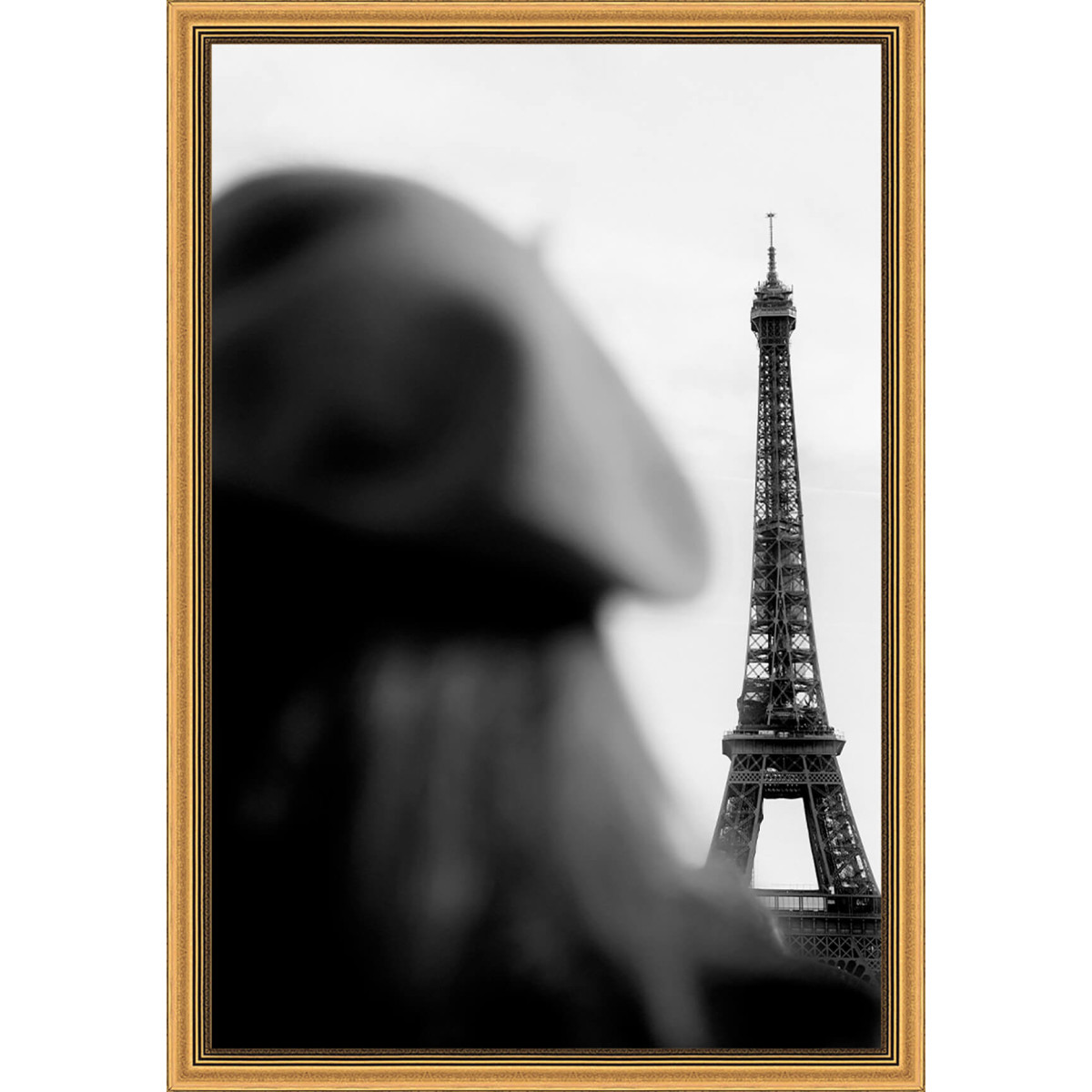 Accessoires offerts