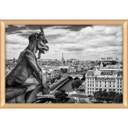 Accessoires offerts