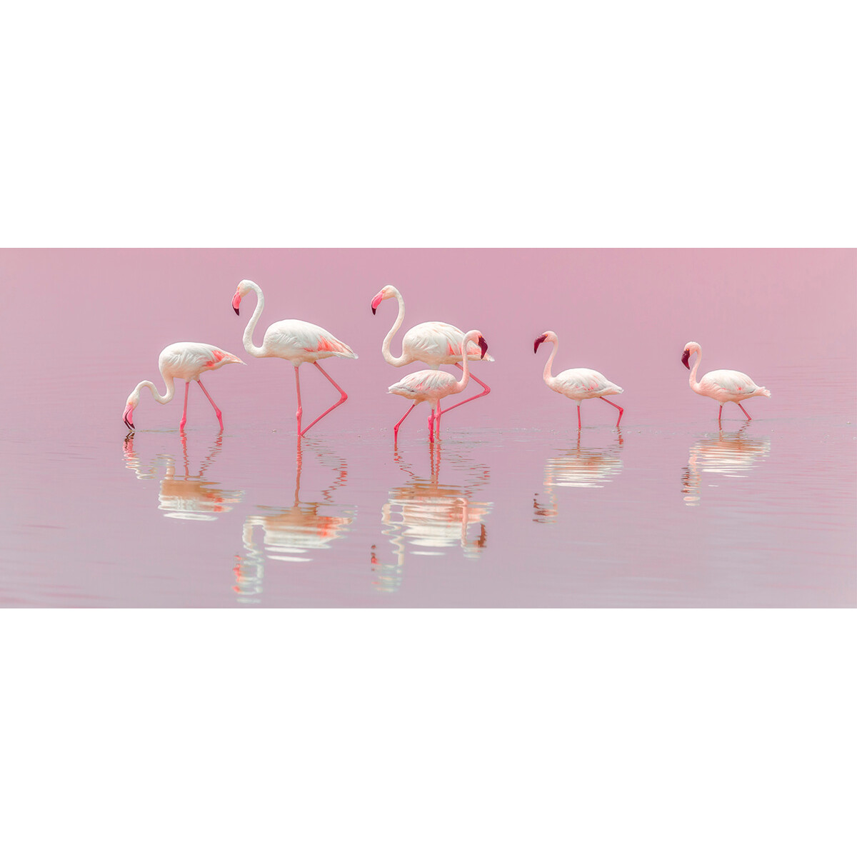 Accessoires offerts Accessoires offerts