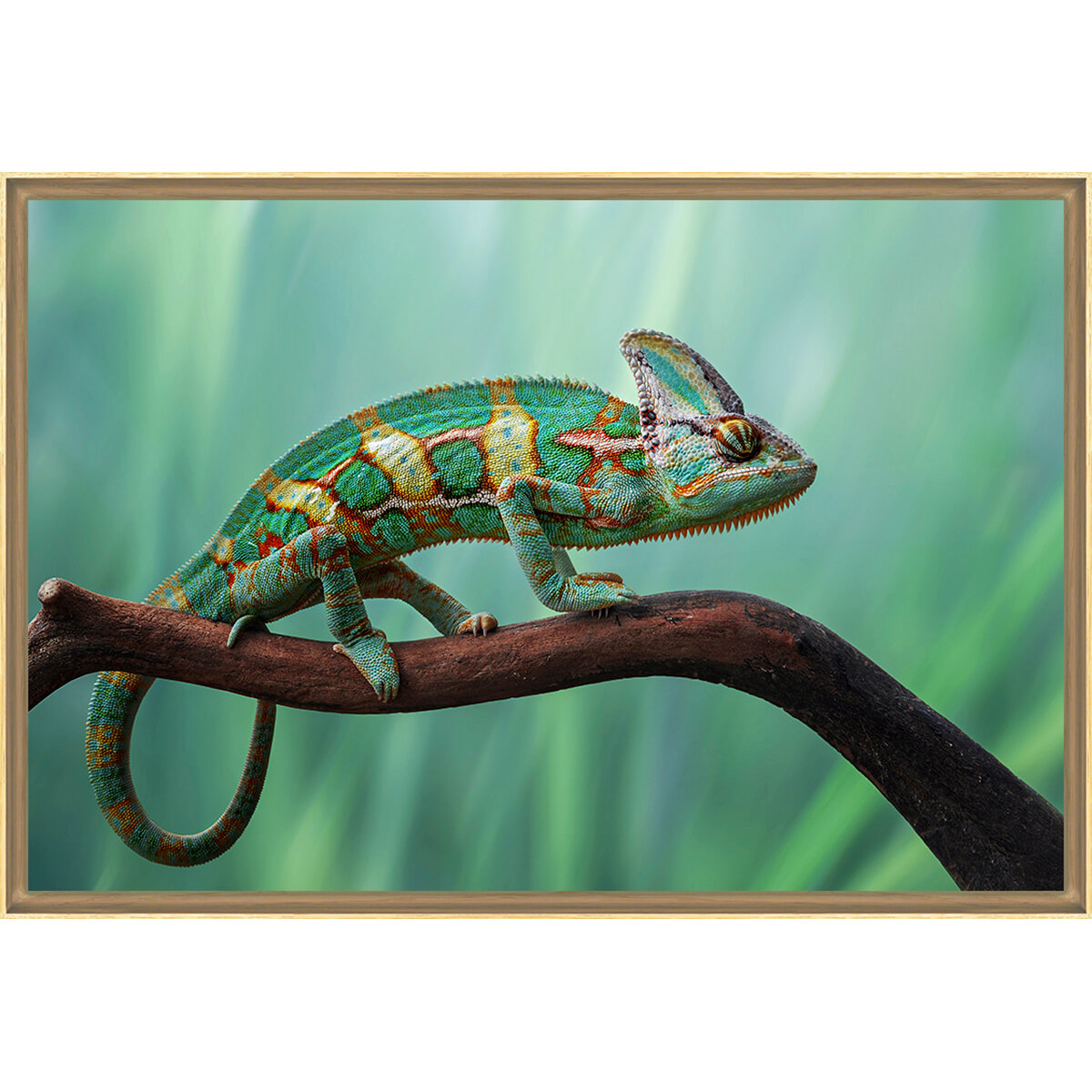 Accessoires offerts Accessoires offerts
