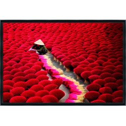 Accessoires offerts