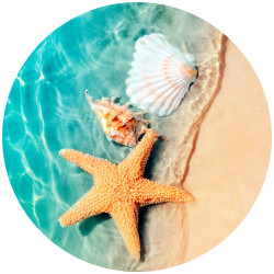 Accessoires offerts