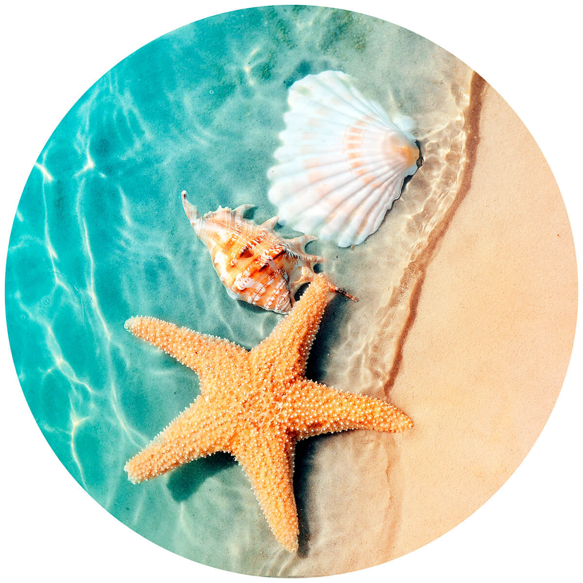 Accessoires offerts Accessoires offerts