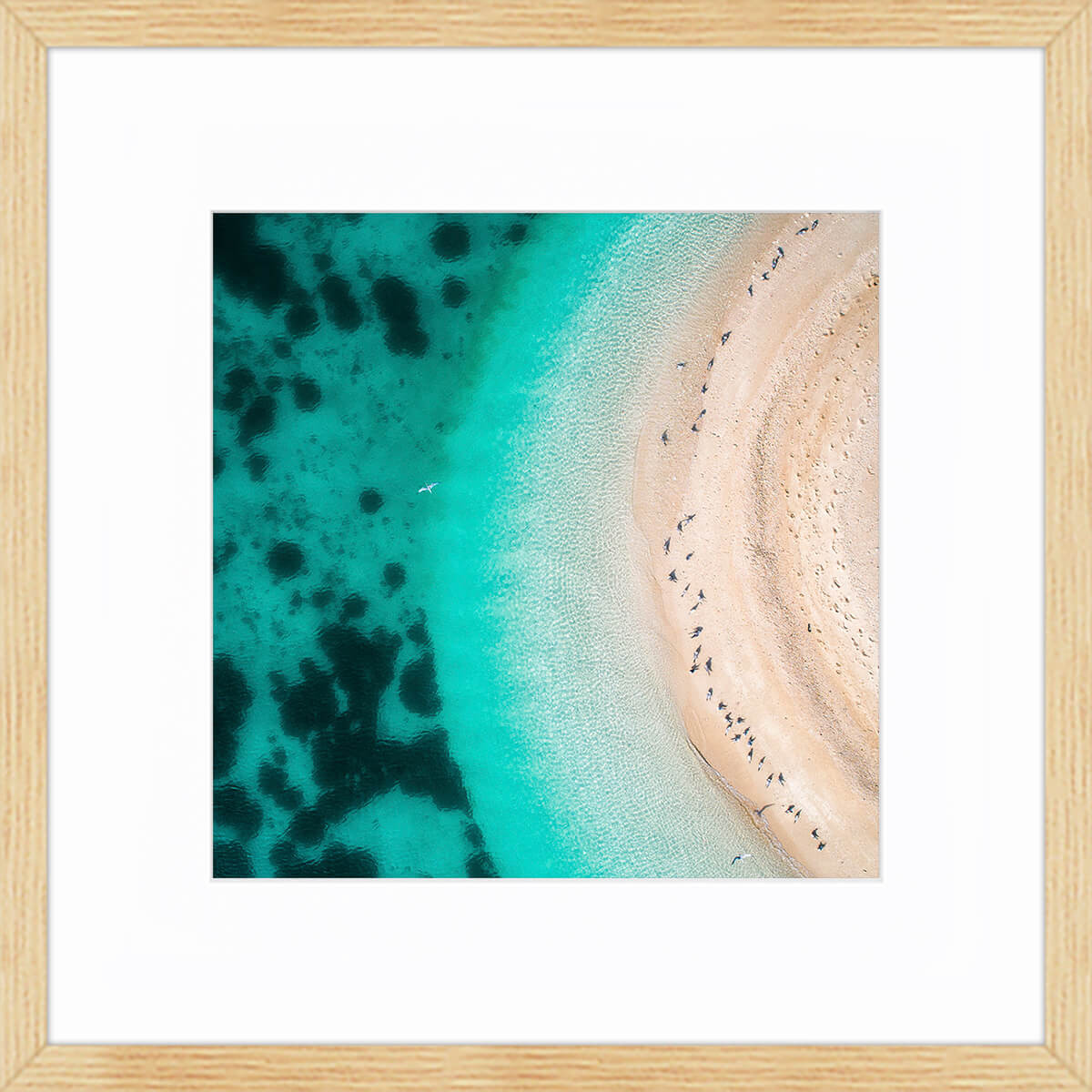 Accessoires offerts Accessoires offerts
