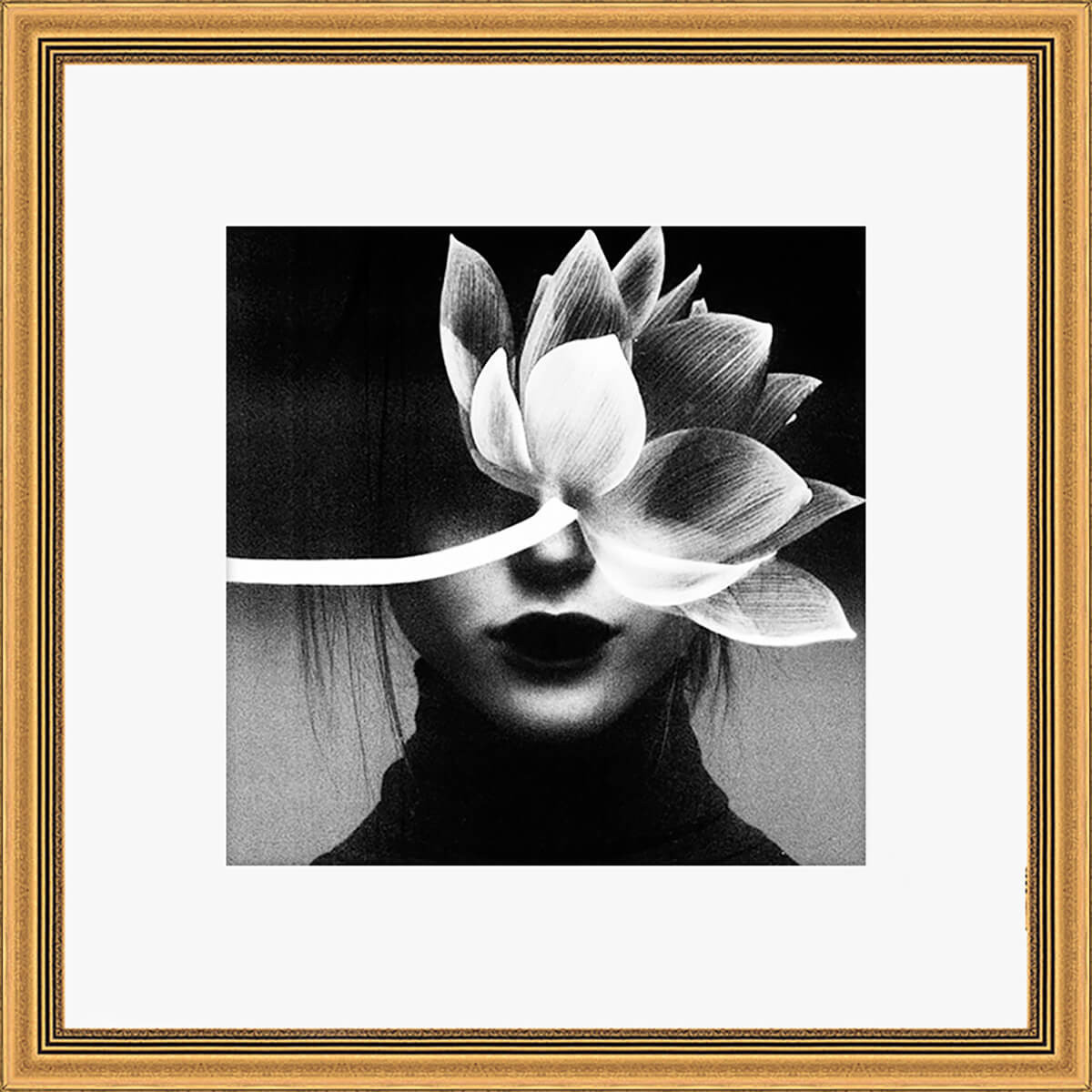 Accessoires offerts Accessoires offerts