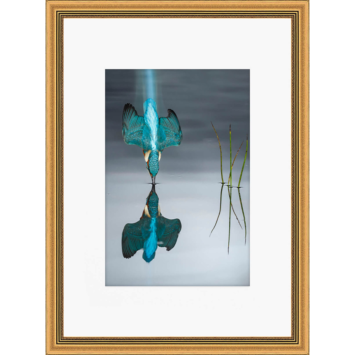 Accessoires offerts Accessoires offerts