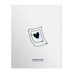Livre d'or instant 80 pages dos