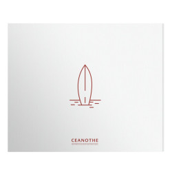 Album photos traditionnel illustration plage surf 120 photos 11,5x15 cm dos