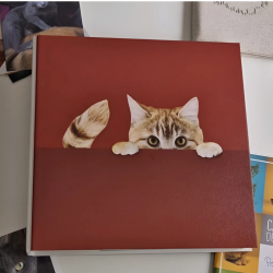 Album photos pochettes cache-cache chat 200 photos 11,5x15 cm ambiance 2