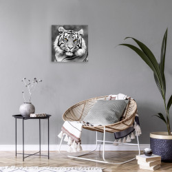 Tableau mural tigre de face 30x30 cm ambiance