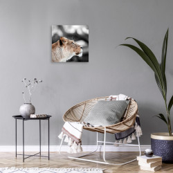 Tableau mural lionne de profil 30x30 cm ambiance