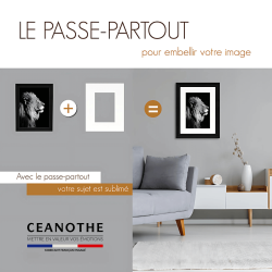 Passe-partout détails infos