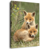Tableau mural bébés renards