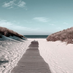 Tableau mural chemin sable