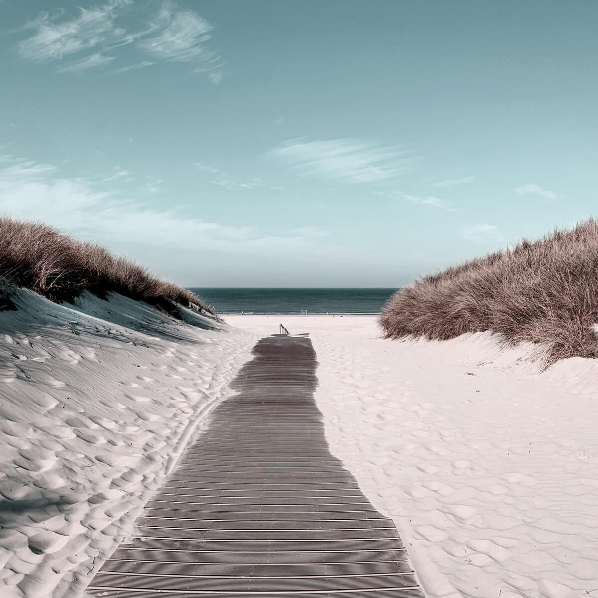 Tableau mural chemin sable Tableau mural chemin sable