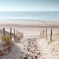 Tableau mural pas sur le sable