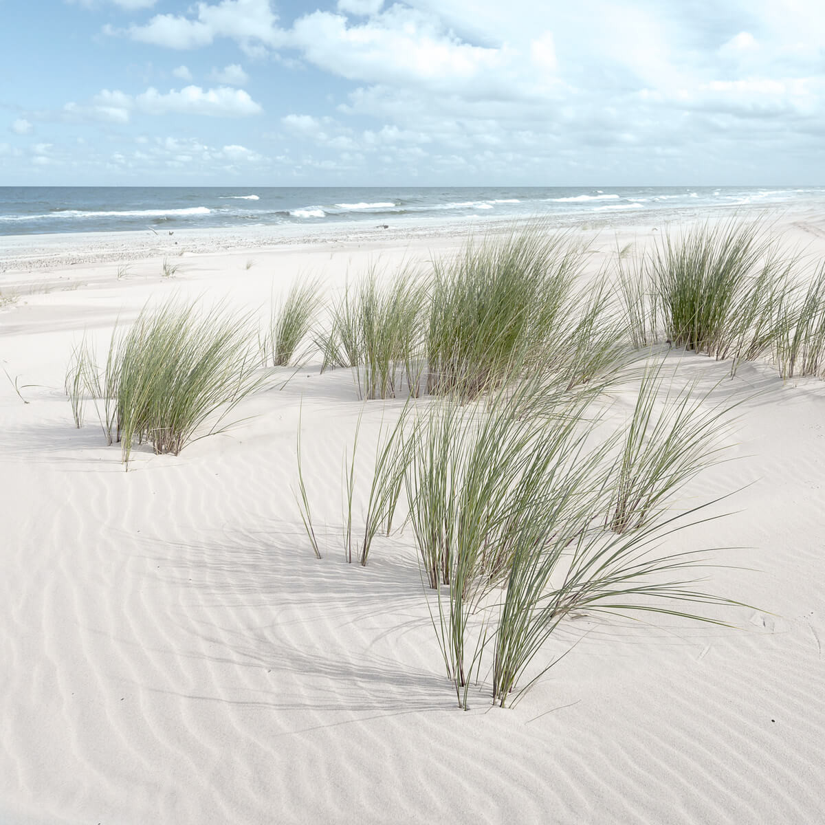 Tableau mural sandy beach vent Tableau mural sandy beach vent