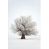 Tableau mural arbres enneigés