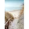 Tableau mural chemin vers sandy beach