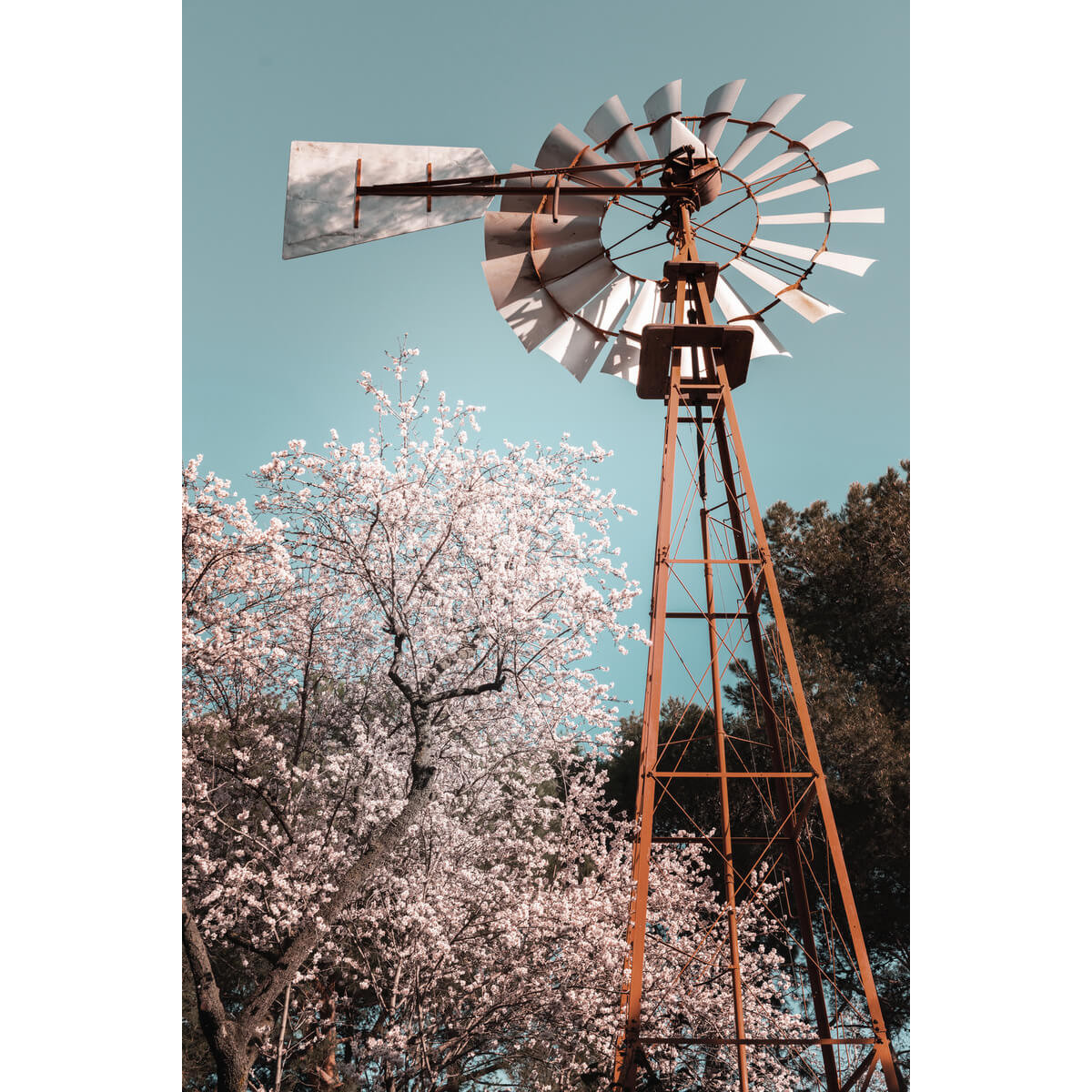 Tableau mural moulin Tableau mural moulin