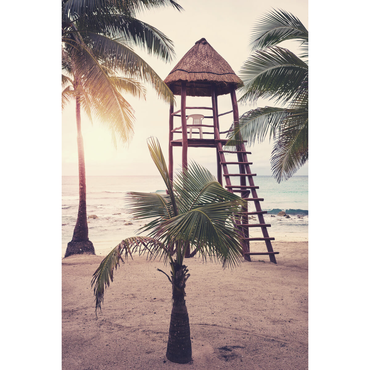 Tableau mural tropical Tableau mural tropical