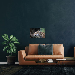Tableau mural belle panthère 30x45 cm