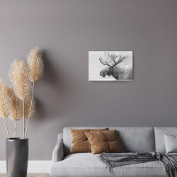 Tableau mural élan 30x45 cm