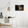 Tableau mural lionne dans l'ombre 30x45 cm