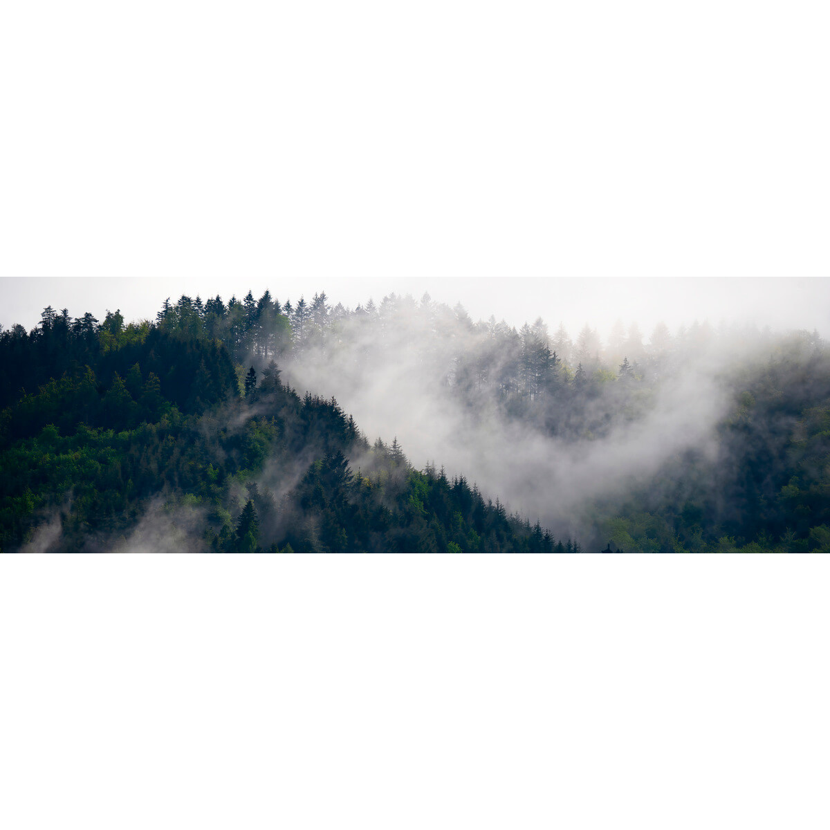 Tableau sur toile brume naturelle