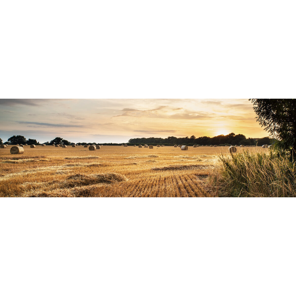Tableau sur toile campagne Tableau sur toile campagne