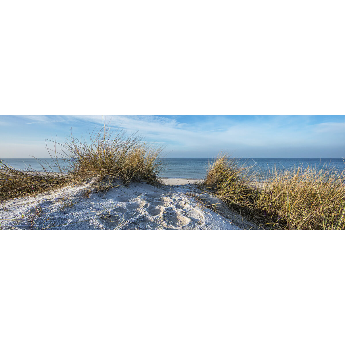 Tableau sur toile dune grass