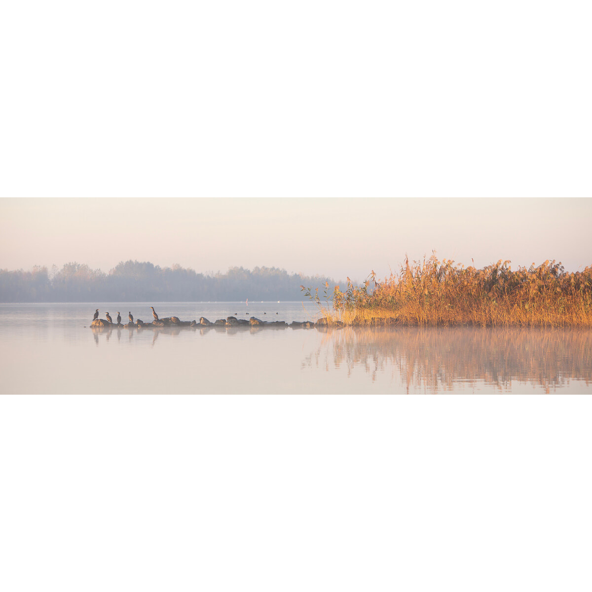 Tableau sur toile lac d'automne Tableau sur toile lac d'automne
