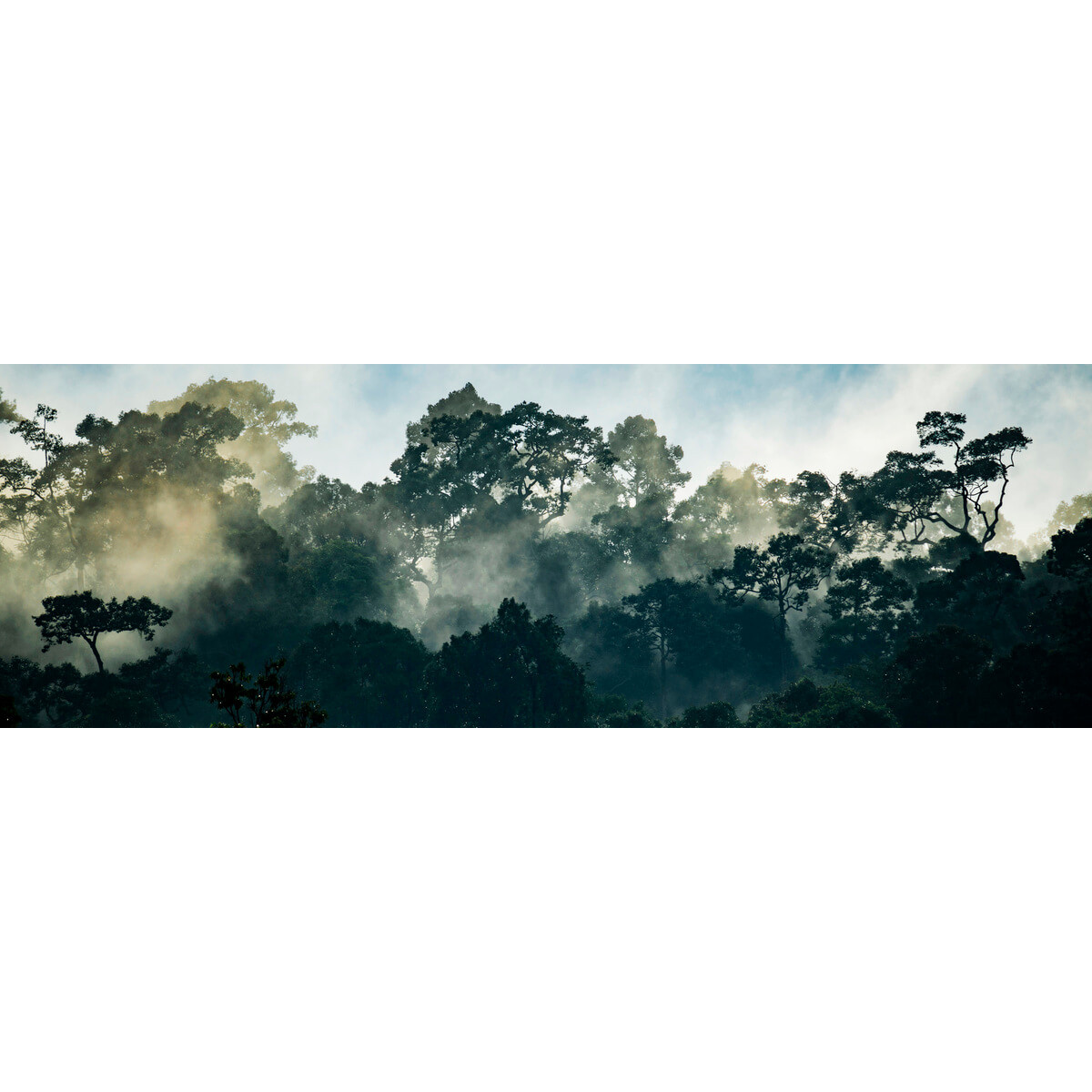 Tableau sur toile paysage et arbres Tableau sur toile paysage et arbres