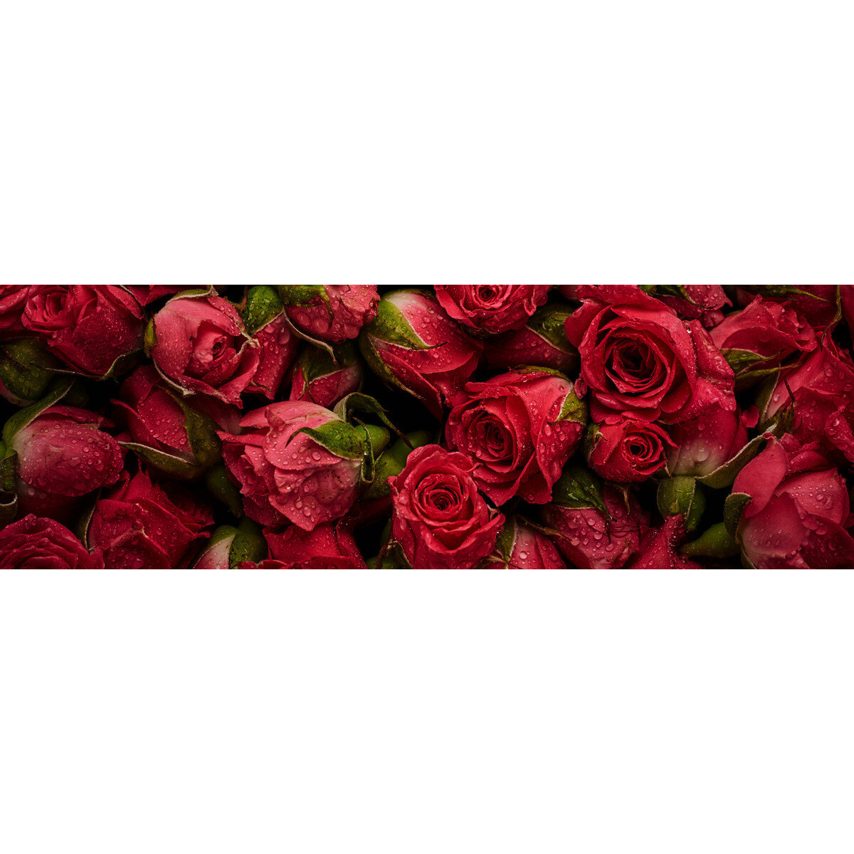Tableau sur toile roses rouges Tableau sur toile roses rouges
