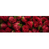 Tableau sur toile roses rouges