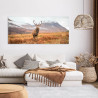 Tableau sur verre synthétique cerf 65x145 cm mise en ambiance