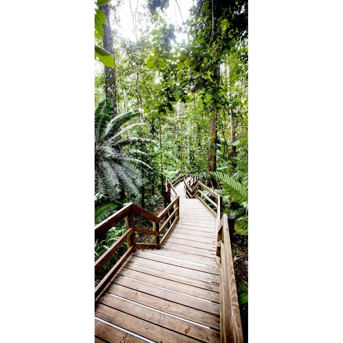 Tableau sur verre synthétique pont dans la jungle 65x145 cm Tableau sur verre synthétique pont dans la jungle 65x145 cm