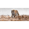 Tableau sur verre synthétique tigre en chasse 65x145 cm