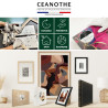 Savoir-faire Ceanothe