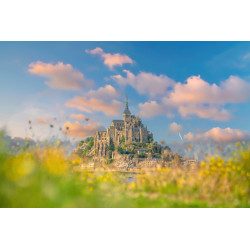 Tableau sur toile Mont Saint-Michel fleuri 65x97 cm