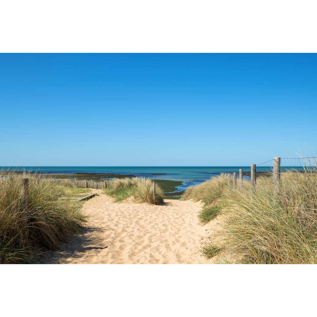 Tableau sur toile Chemin de Plage 65x97 cm Tableau sur toile Chemin de Plage 65x97 cm