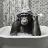 Tableau mural Chimpanzé dans le bain