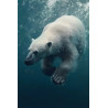 Tableau mural ours polaire en plongée