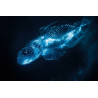 Tableau mural poisson abyssal luminescent