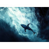 Tableau mural synthétique requin majestueux