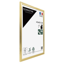 Cadre photo Julia doré 40x60 cm verre acrylique biais